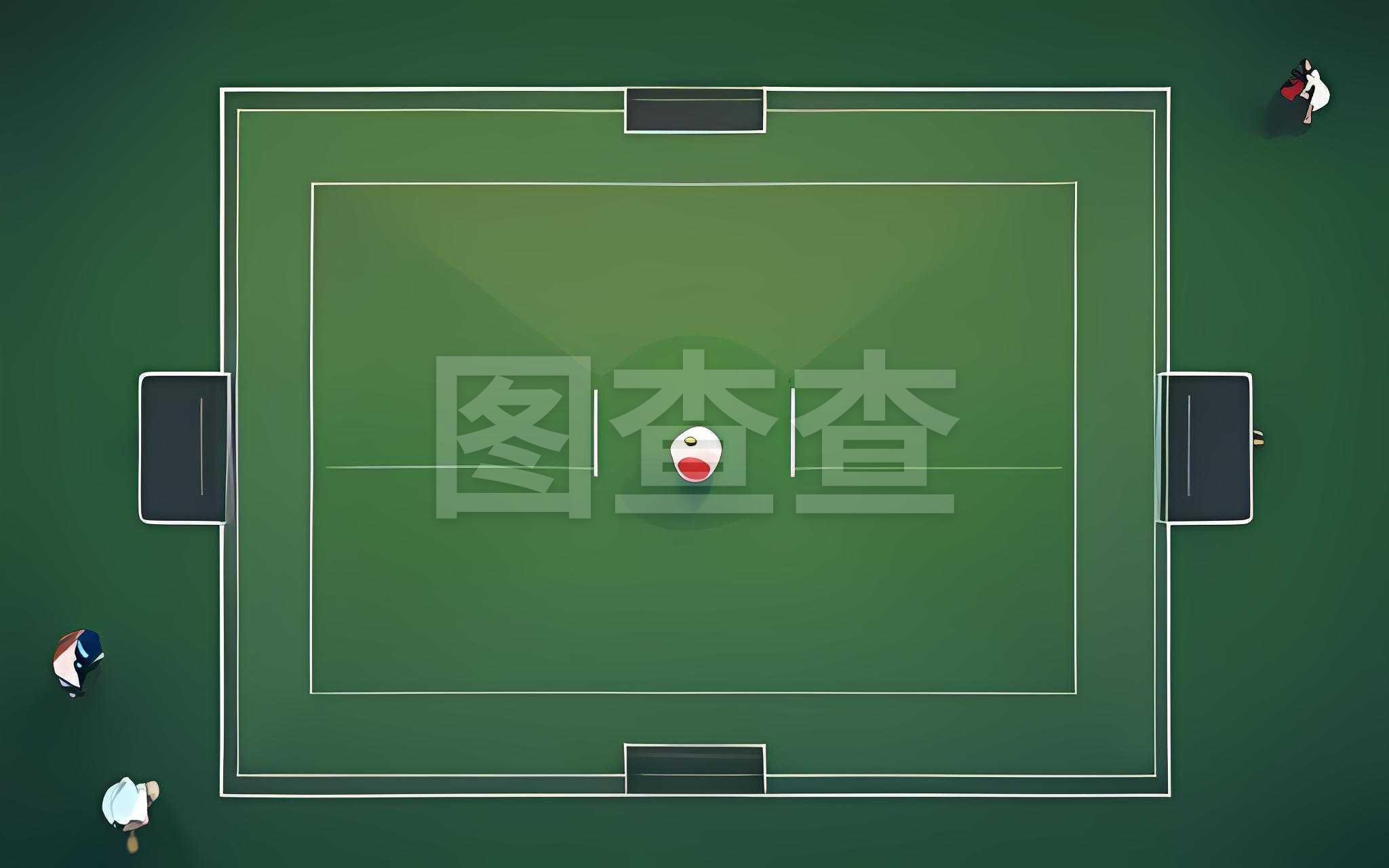 队对帕尔默